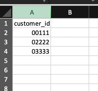 Image of the excel column a labeled customer id with 5 digit numbers that begin with zero